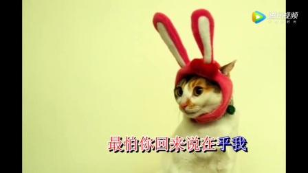 从此我该怎么过