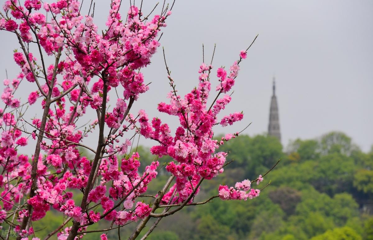 千万不要放纵自己，给自己找借口。对自己严格一点儿，时间长了，自律便成为一种习惯，