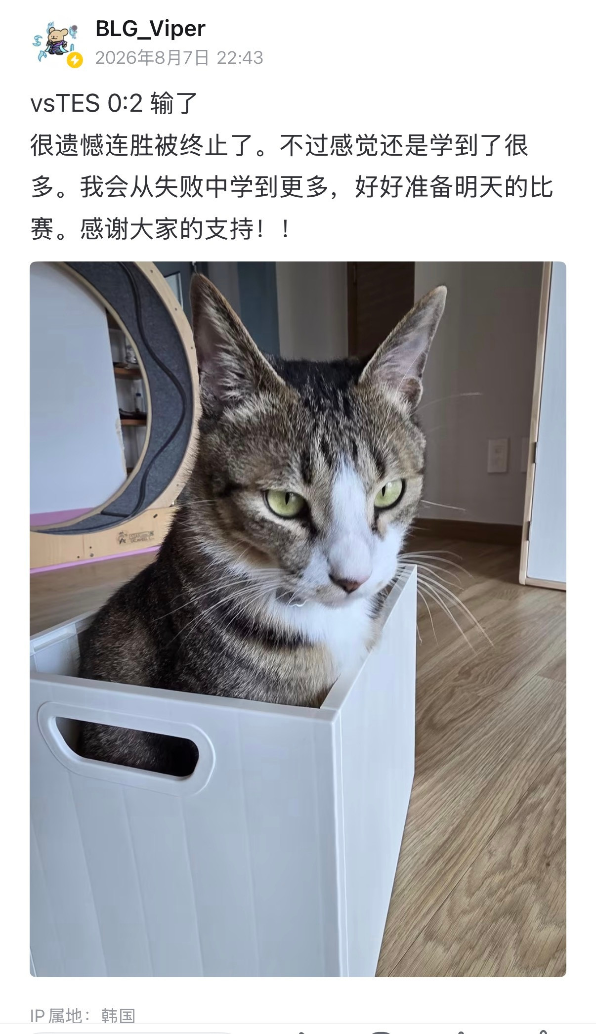 b站动态和Vipertube同步更新🐍：很遗憾连胜被终止了。不过感觉还是学到