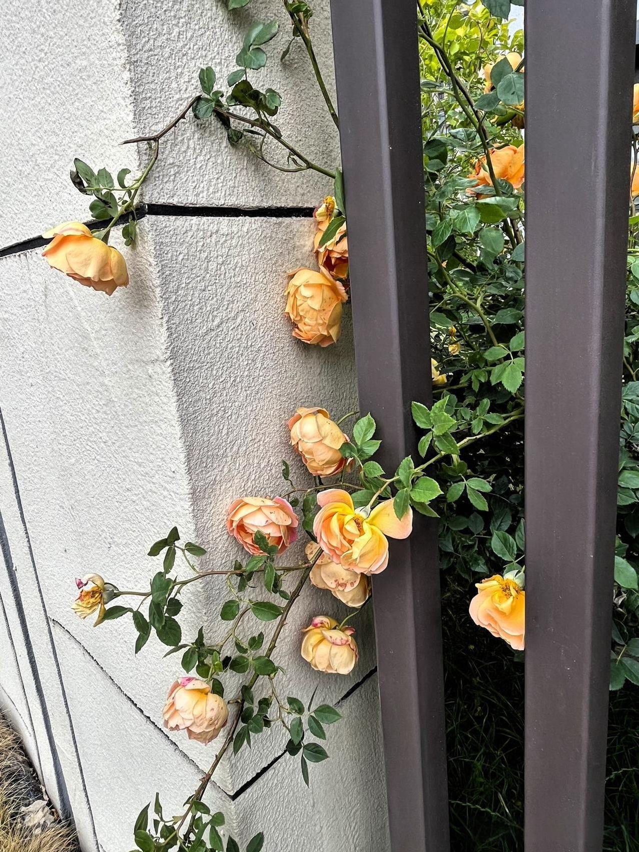 曾仕强先生说：“一定要记住这句话，坏人是来帮你的，而小人是来渡你的，那些总是欺负