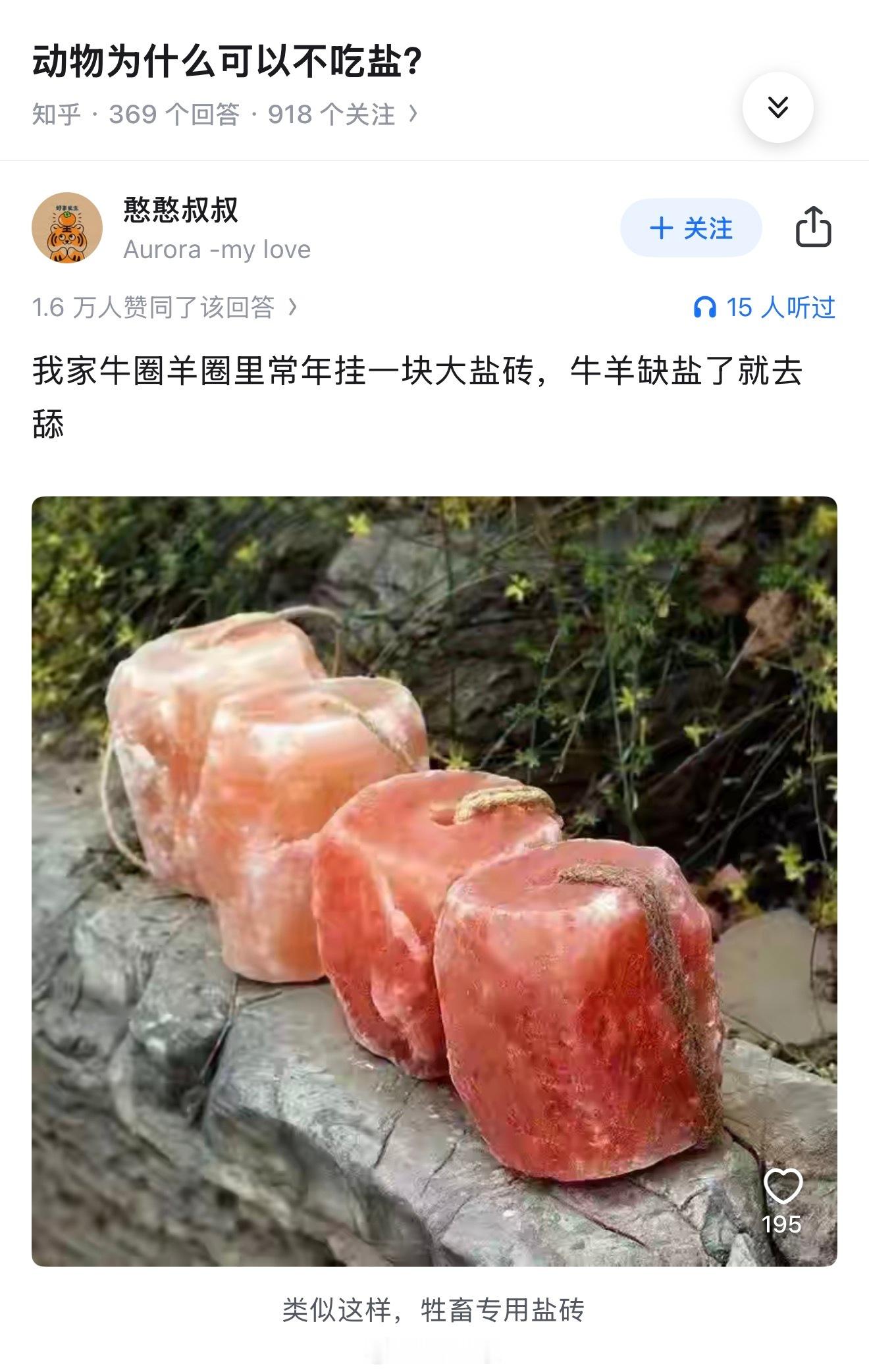 破防了[捂脸哭]​​​