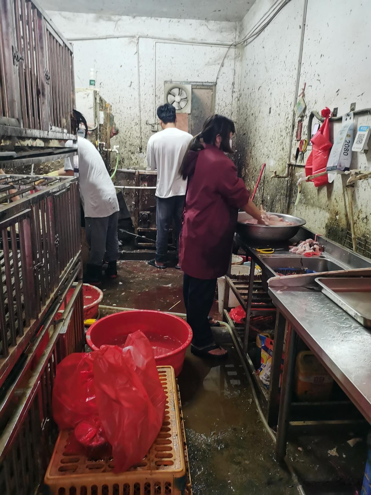 市场那个杀鸡的女人，42岁就癌症去世了，她一生杀鸡杀鸭杀鹅无数，不知道有没有因果