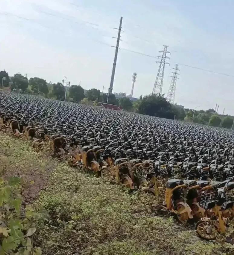 这么浪费太可惜了，为啥不低价处理掉？