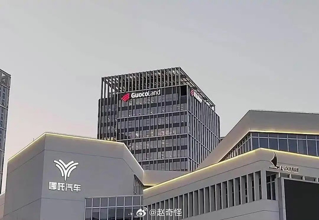 哪吒汽车被申请破产传了那么久，这次是盖棺定论了吗？记得上次懂车帝发起的投票还排在