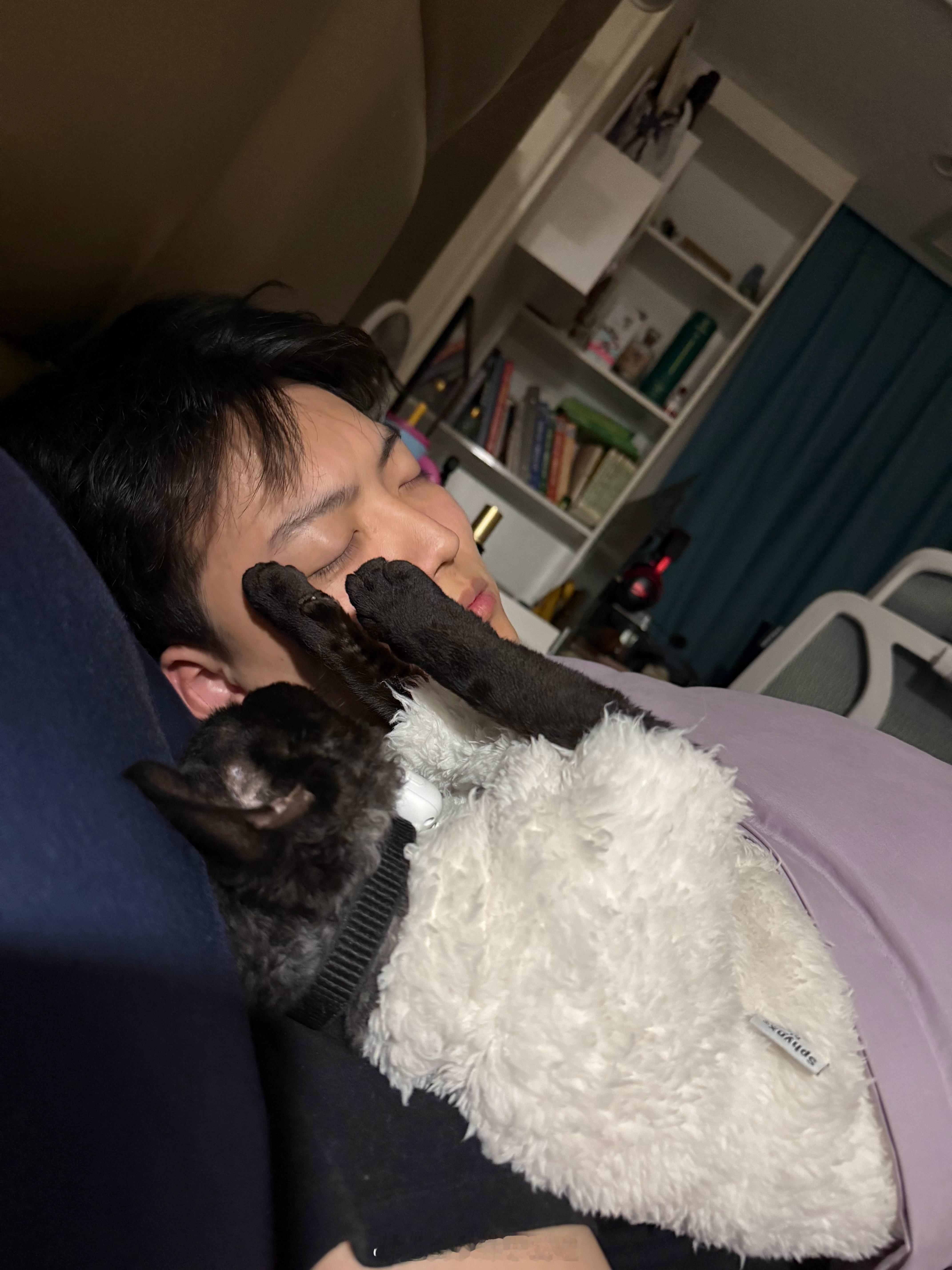 熬夜熬着熬着，一回头看到这哥俩睡成这样