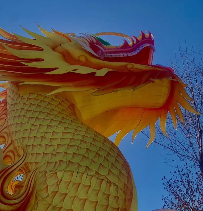 为什么公鸡会打鸣？鸡、蜈蚣和龙的神秘故事大家有没有想过，为什么公鸡每天清晨都