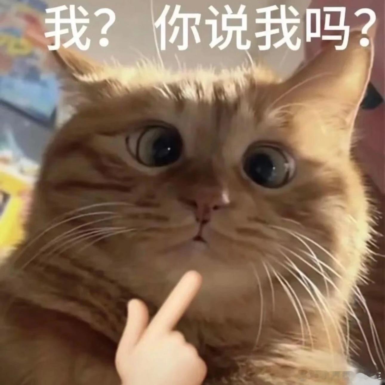 每天只睡6个小时身体的变化一到晚上就刷到这种热搜……[捂嘴哭