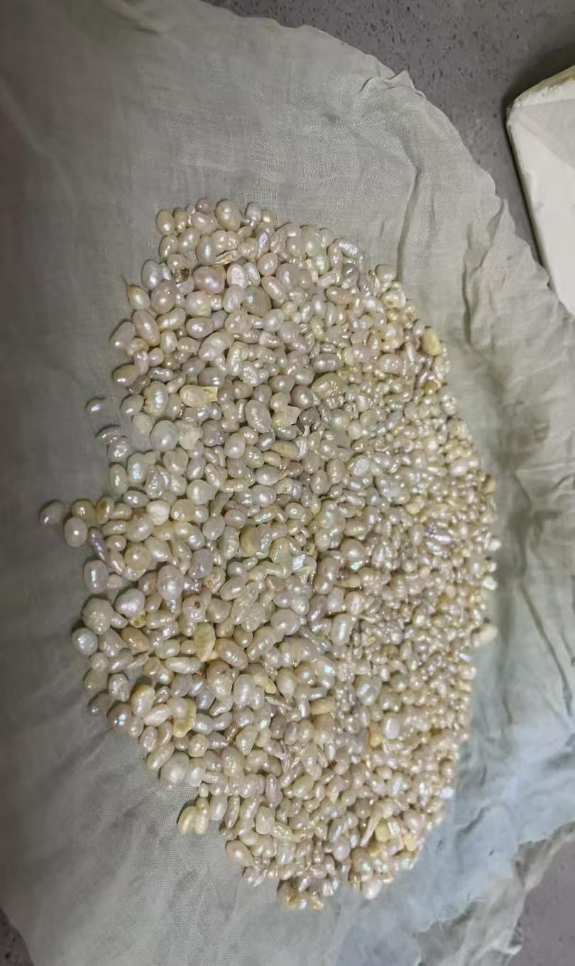 我奶奶以前养的珍珠，听说那个时候养珍珠很赚钱，然后就以大队为单位统一养殖。奶奶去
