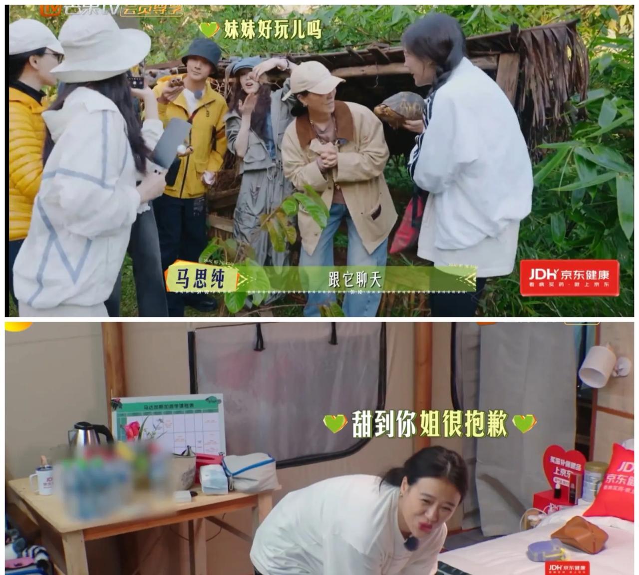 那英看到马思纯对着乌龟神神叨叨半天，以为她在玩龟，结果不是，她是在跟乌龟聊