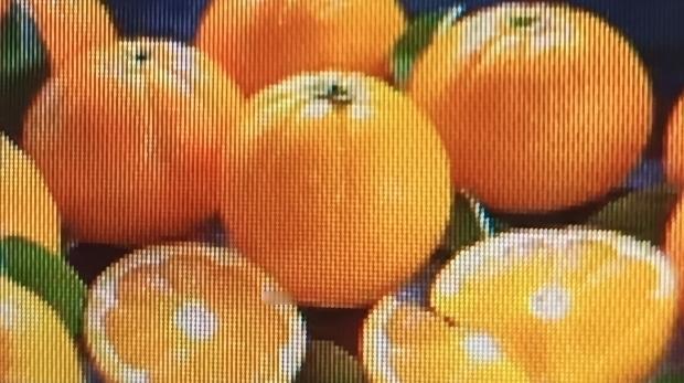 橙子真是水果界的宝藏！作为常见水果，它不仅味道鲜美，营养还超丰富，有维生素C、膳