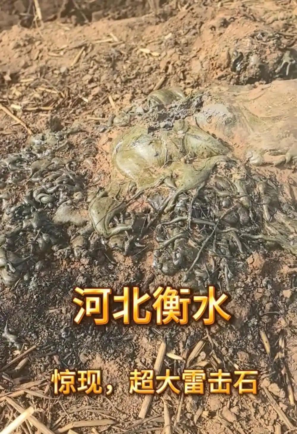 “太邪乎了！”河北衡水，一道惊雷劈下，一村民的麦地里竟凭空冒出一块灰绿色“怪石”
