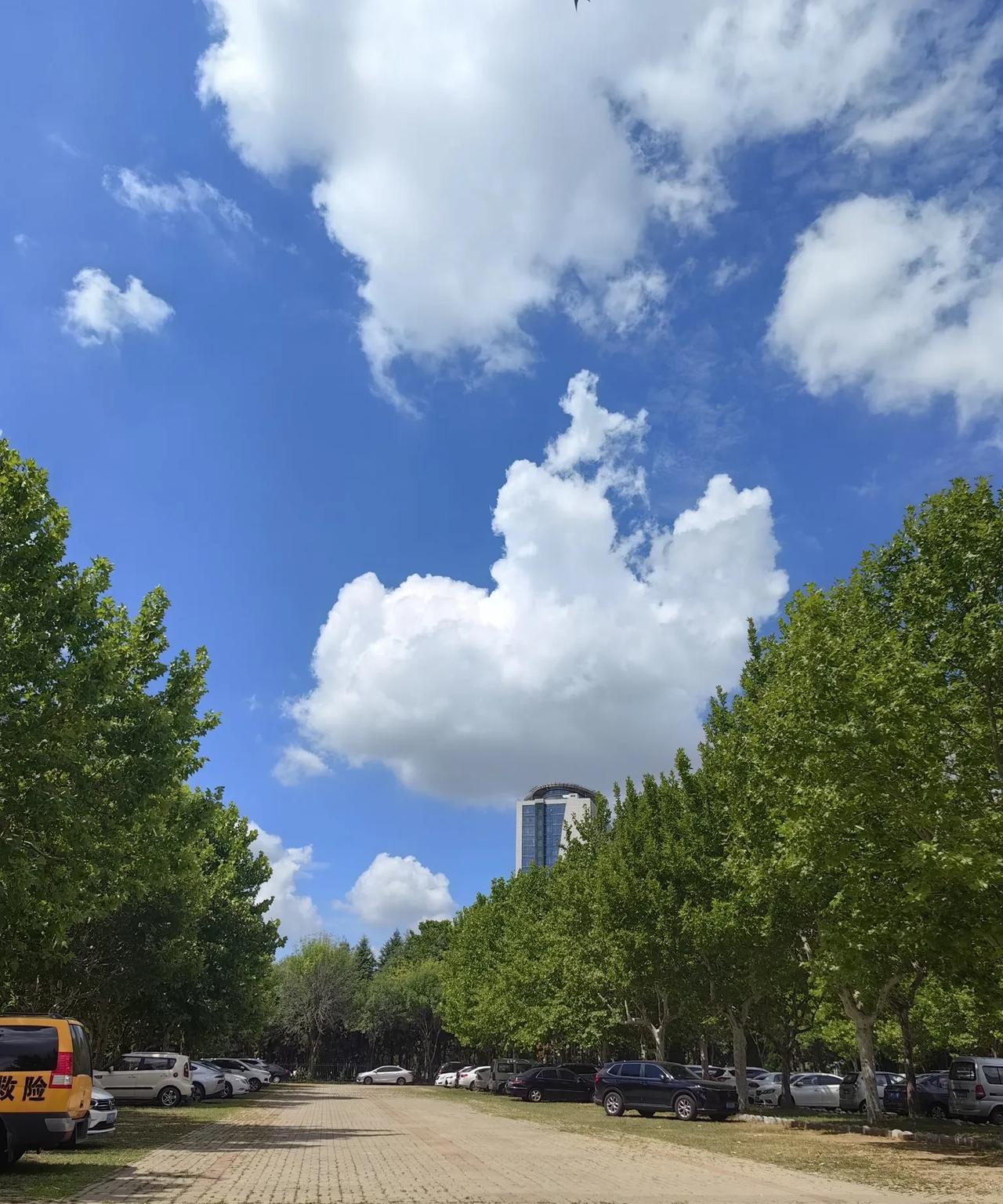 离开烟台回老家住段时间，在潍坊服务区休息的时候就感到了热浪扑面。在烟台，家中开