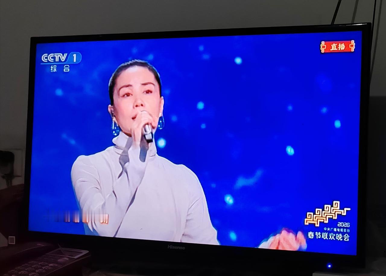 老了，老了，真的老了，王菲也老了，似水流年，光阴似箭，青春不再，看央视春晚王菲独