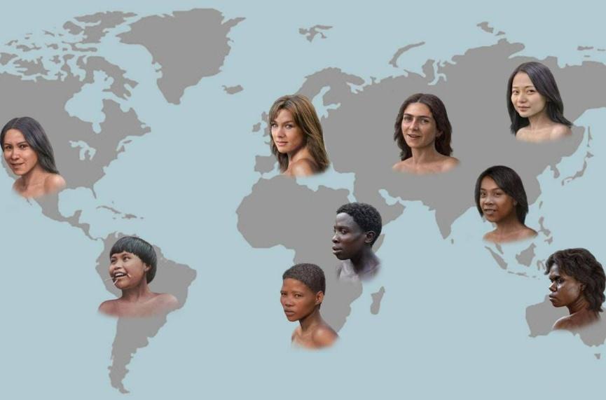 白种人、黄种人、黑种人，是老旧错误的划分。从生物学“界门纲目科属种”的划分角度