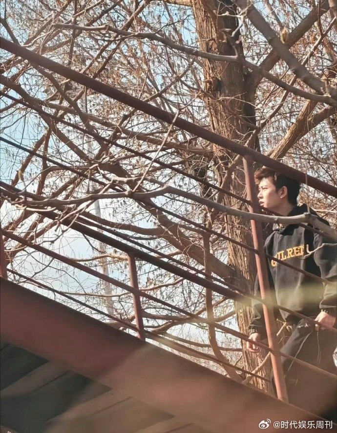 网友北京798偶遇任嘉伦北京798偶遇任嘉伦北京798偶遇任嘉伦，这是什么神