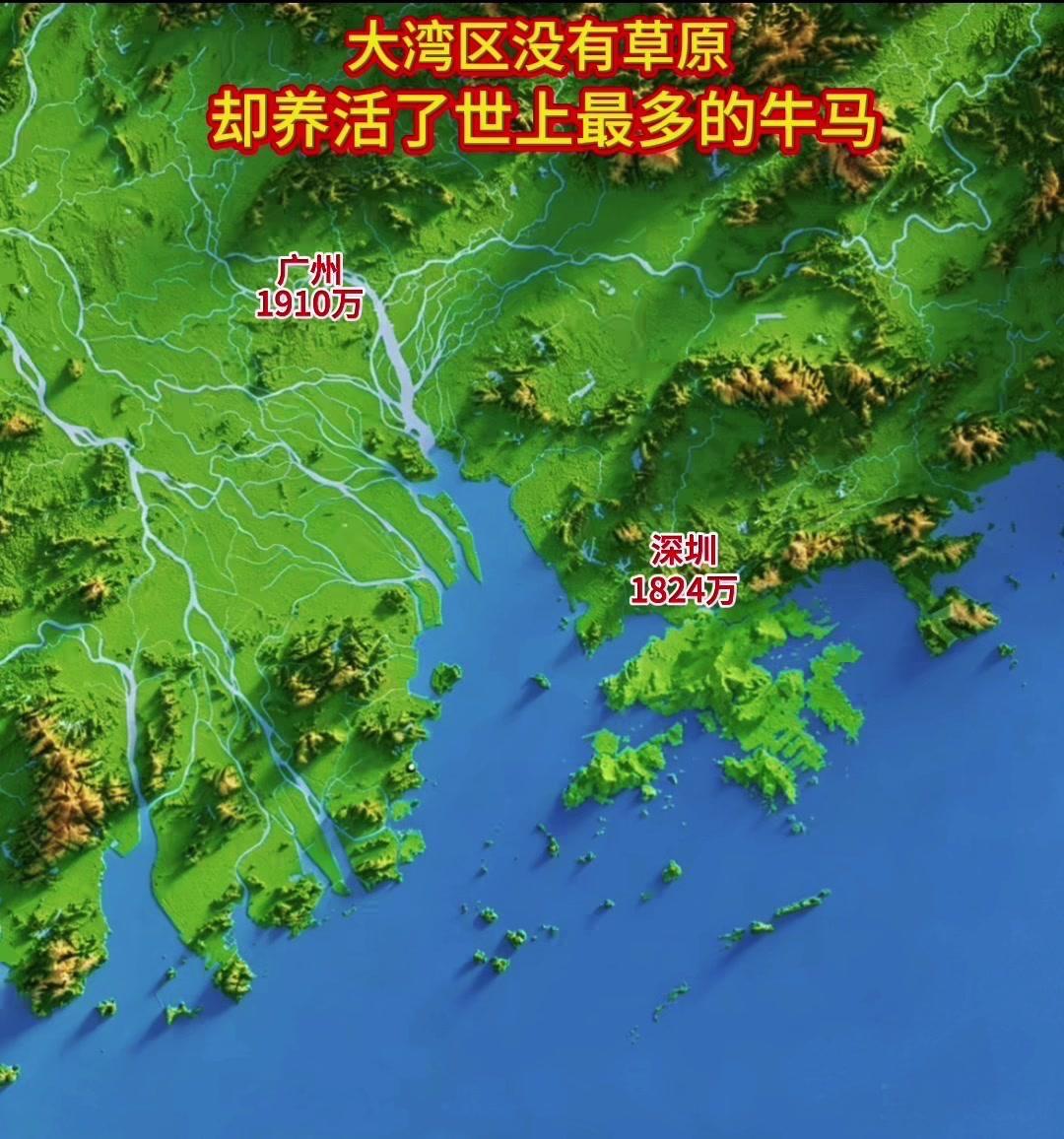大湾区人口密度有多高？🌍粤港澳大湾区全域面积5.6万平方公里，常住人口约870
