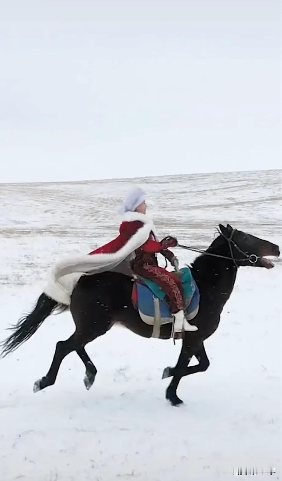 那个策马扬鞭草原的新疆自治区美女县长贺娇龙走了，年仅47岁，她的老家在四川射洪。