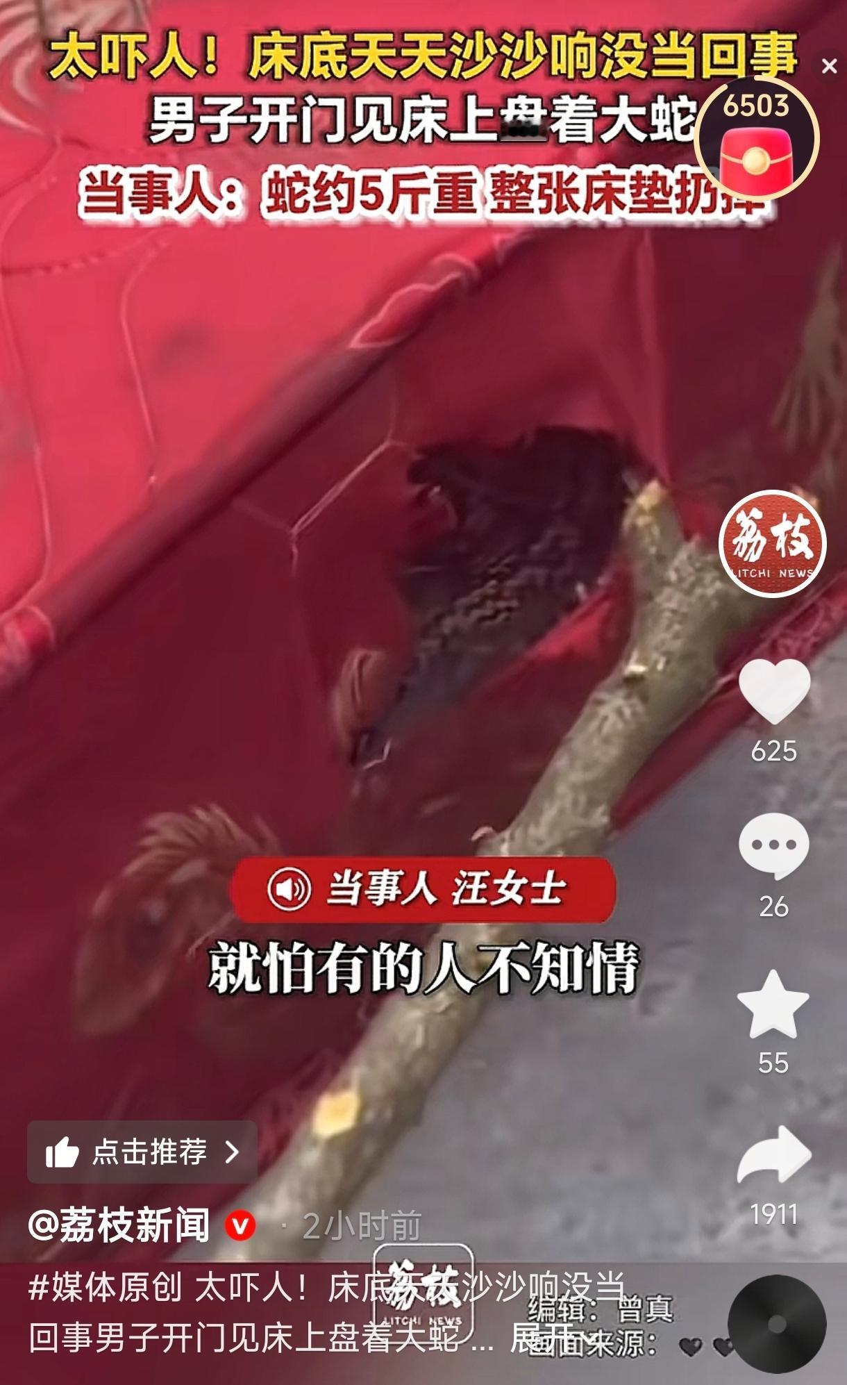 太吓人了！贵州桐梓，一男子睡午觉老听见床底下有“沙沙”声，以为是老鼠没在意。结果