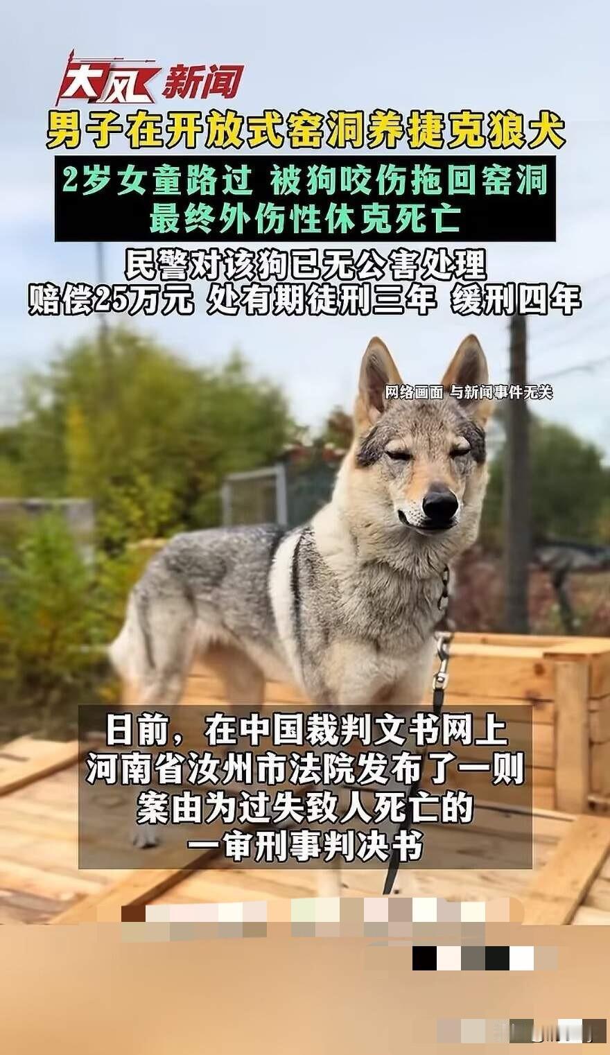 北京，毒死狗被判了4年，河南，2岁女童被狗咬死判了4年缓3年！河南汝州发生一