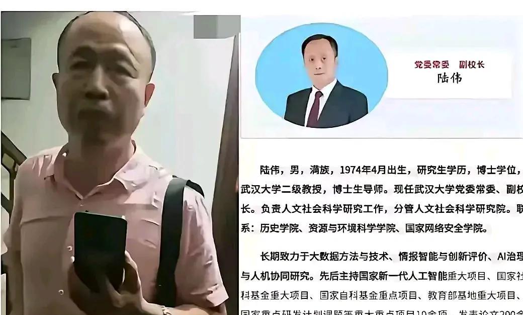 真的是陆伟，看了多张图片对比，带帽子叔叔上门威胁举报者的竟然是武大副校长，想不通
