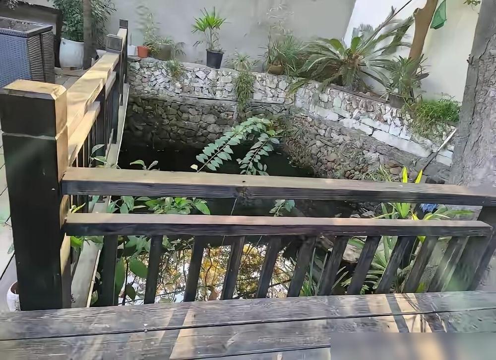 何晴逝世后小院子被曝光，​让人震惊不是过于简陋，​是，不见阳光。​其