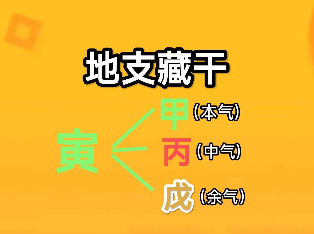 《地支藏干寅木解析》寅木五行属阳木，代表初春、东北方、凌晨（3:00-5:00