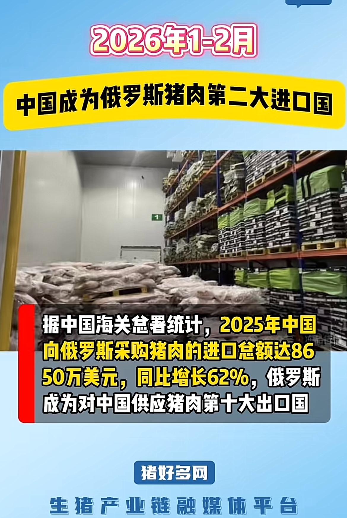 生猪企业都亏损超半年了，现在有的地方生猪价格都低于5元/斤了，每头亏损高达300