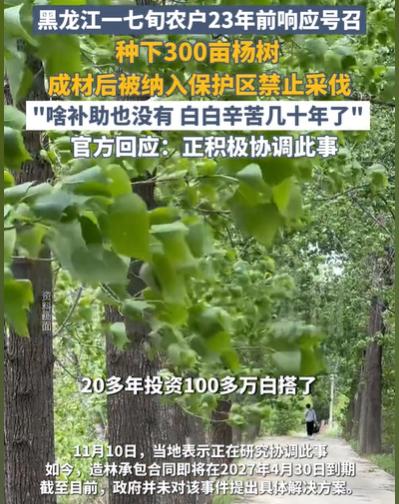 黑龙江齐齐哈尔市，72岁农妇，在23年前，种了300亩杨树，有数万颗，投资了10