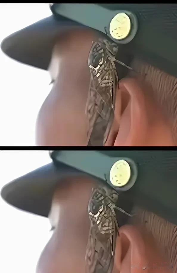 是你你能忍吗？阅兵时，一只蝉飞到了这个兵哥哥的耳朵上，大家都为他揪心，担心他