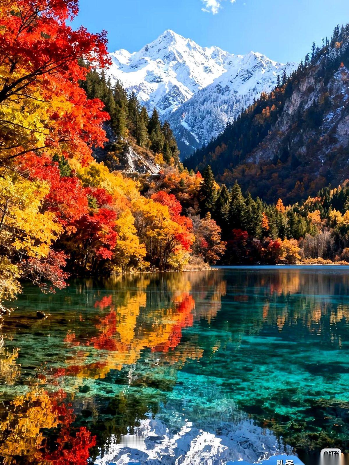 我跟你说个最扎心的秘密。决定你能看见什么的，从来不是你的眼睛。是你这颗心。