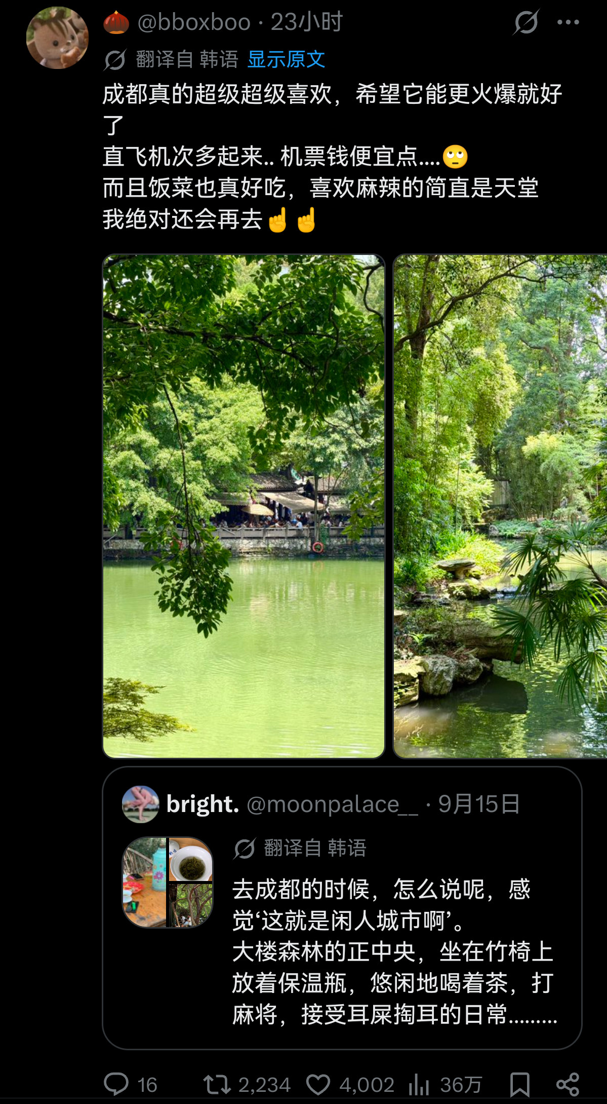 日韩热议：成都真是适合闲人的城市