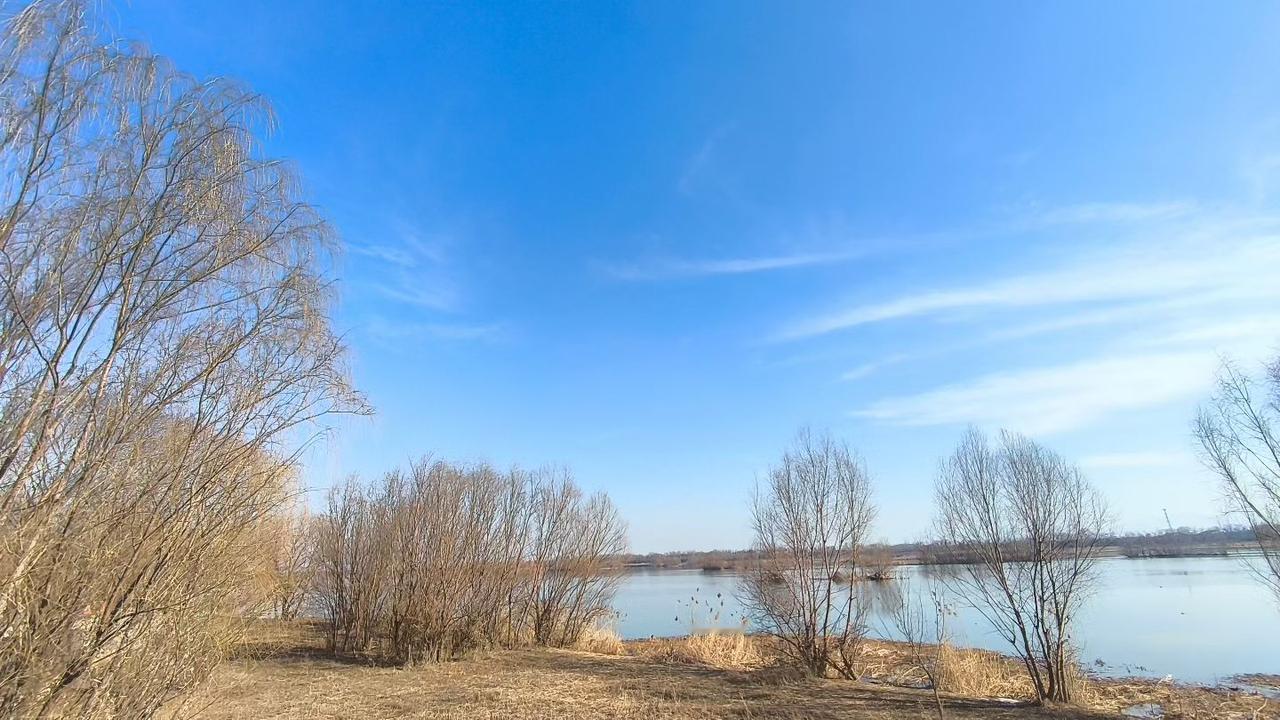 当我意识到我这辈子，都不会在结婚后？第一，我不在那么在意自己的形象，随便自己怎