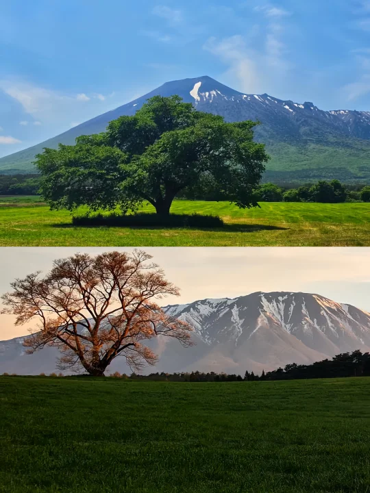 🌲超越京都的宁静，岩手县给你整片安静山海