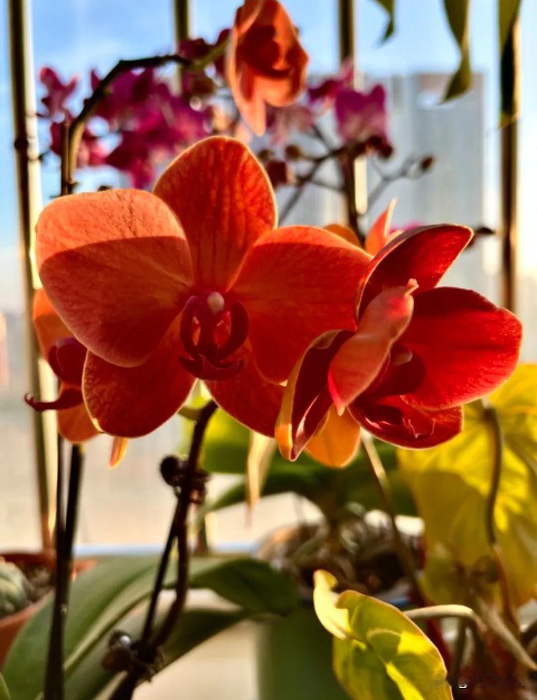 冯唐说：“一个人最顶级的愚蠢，就是焦虑。人生本来就是一个见招拆招的过程，不管遇到