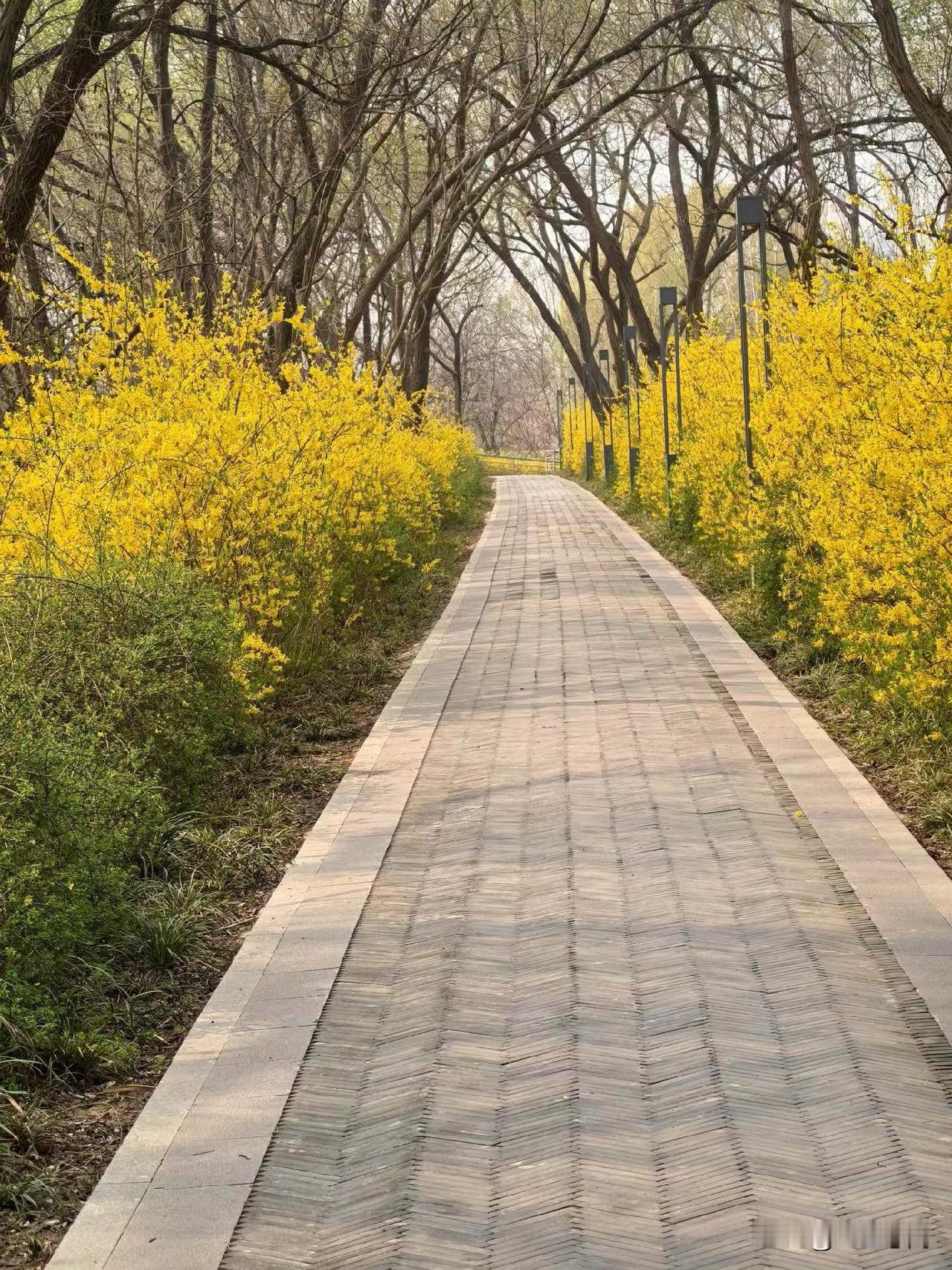 一段令人深思的话：“有的人30岁出头就去世了，有的人50多岁也走了。所以一定要明