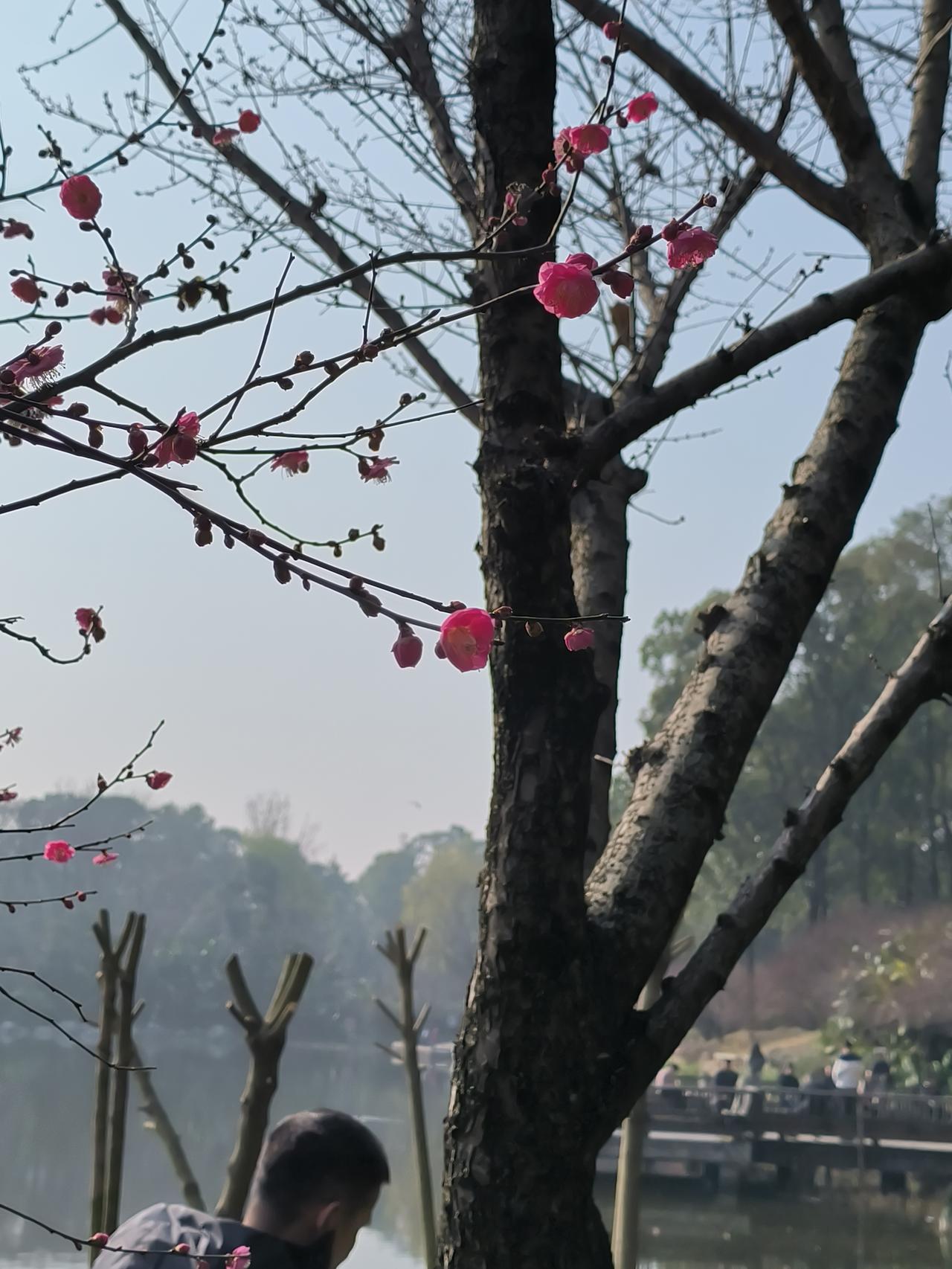 今天听说了一件事说出来跟大家讨论一下我闺蜜的老公今天收到一个同事的结婚请帖，