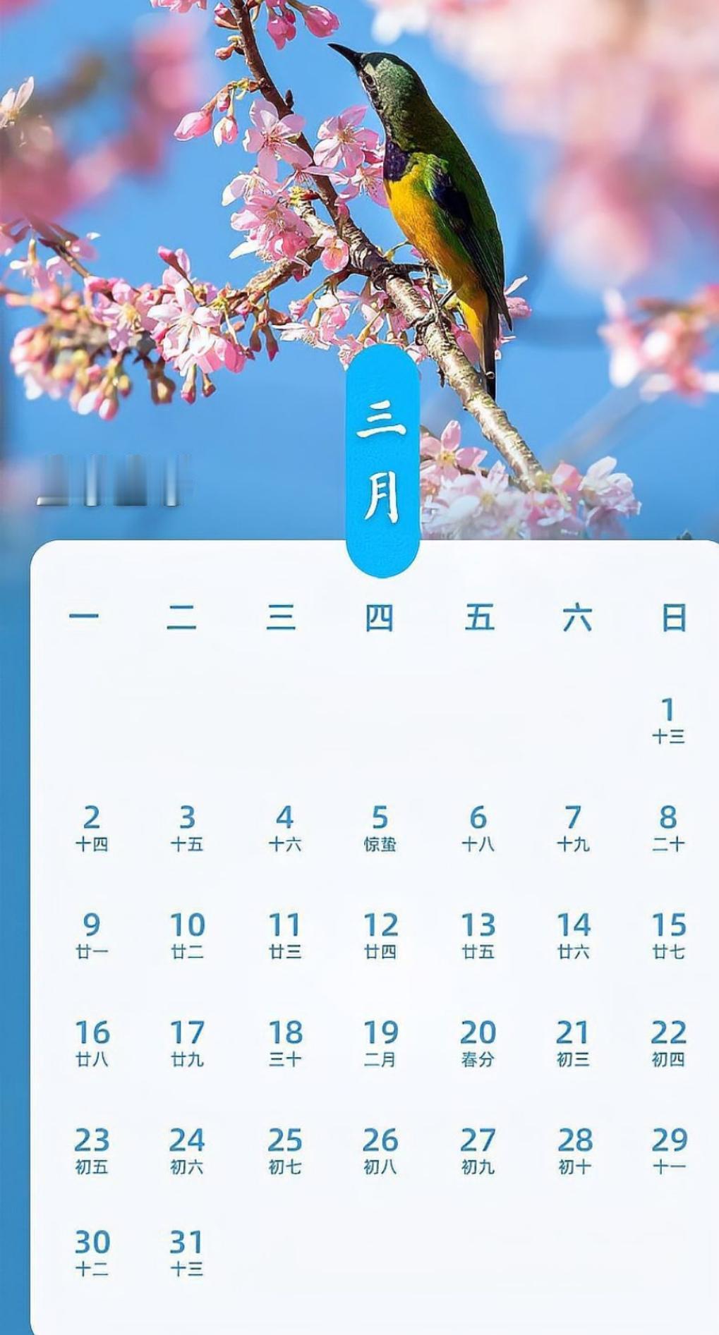 2026年的长假终于出炉！春节将连休9天，让你尽情享受家庭团聚时光！2026年