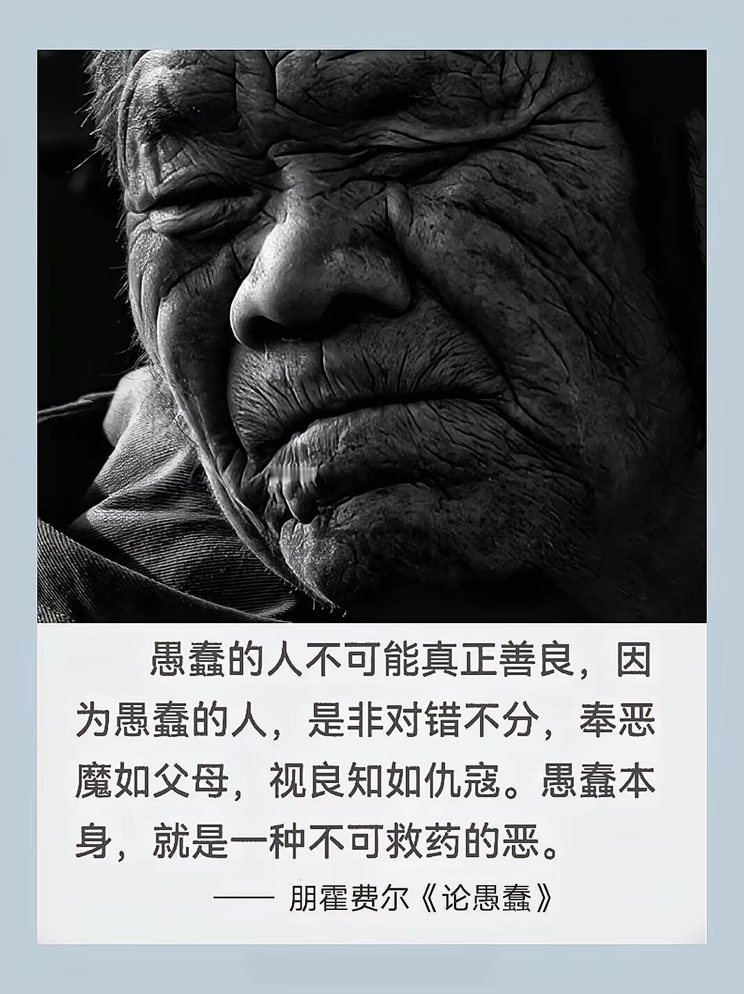 愚蠢本身，就是一种不可救药的恶。