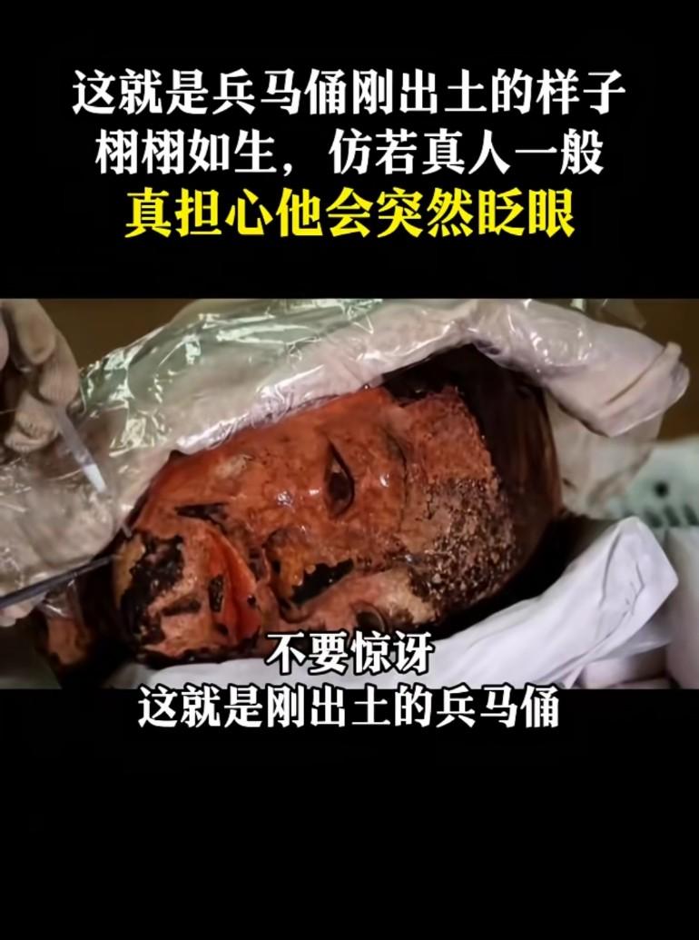 这就是兵马俑刚出土的样子，栩栩如生，仿若真人一般，真担心他会突然眨眼难怪有人以