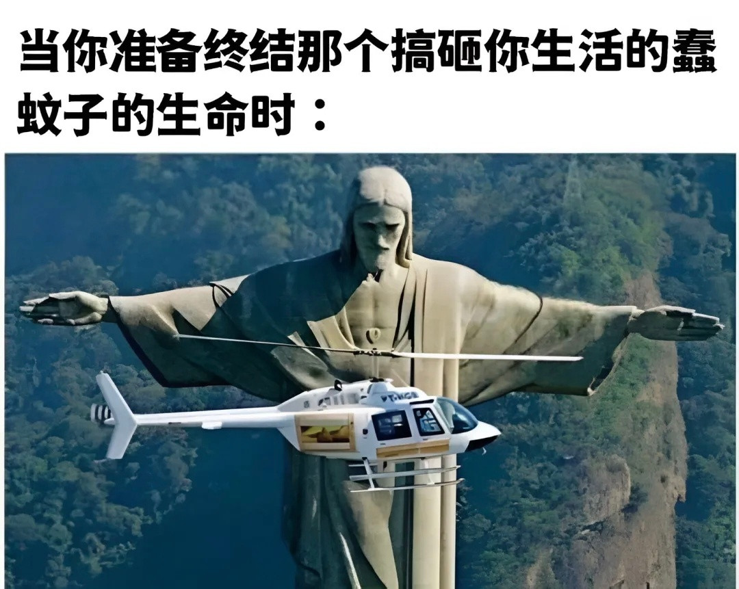 我现在强的可怕来只蚊子练练手meme​​​