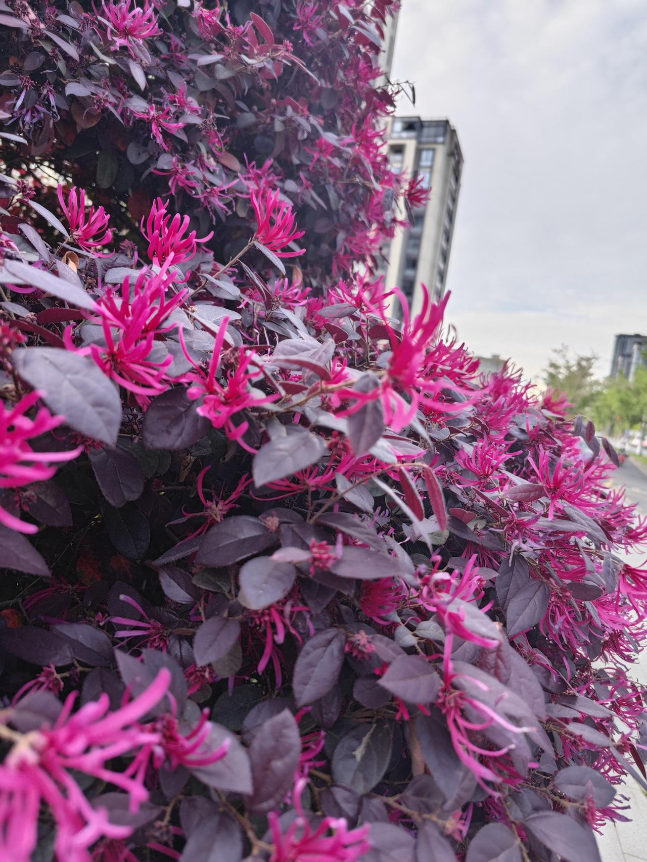 人到中年才懂：身体这架机器，保养不靠花钱，靠对路。这十个“不花钱的养命招”，