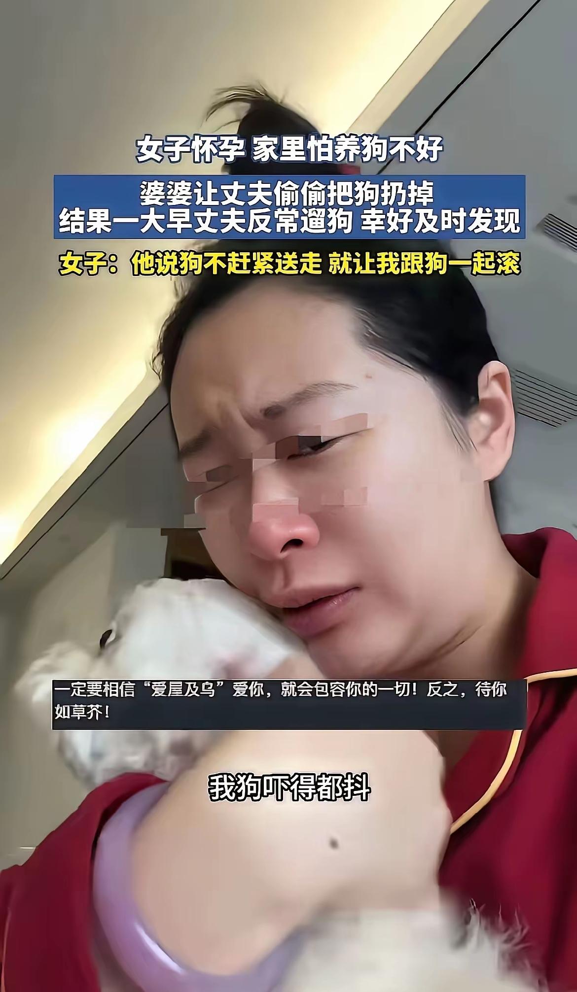 全网吵翻！怀孕女子放狠话：宁可不要孩子，也绝不送走陪我6年的狗！原本温馨的孕期生