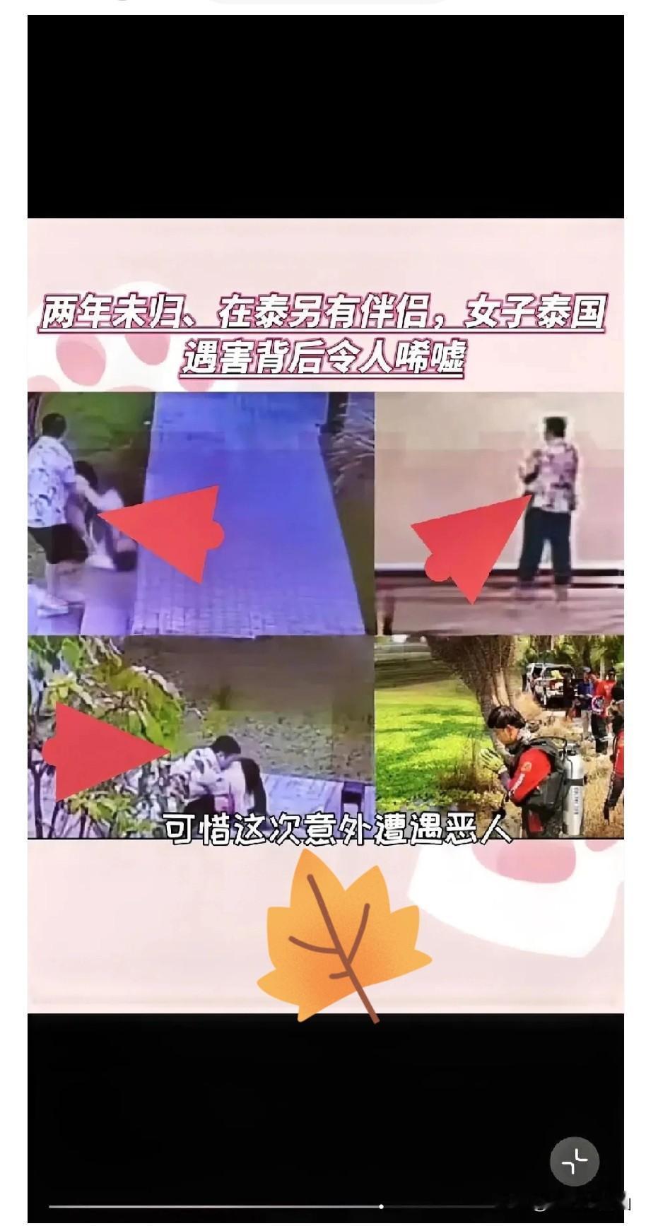 泰国那个案子破了，真让人后背发凉。凶手赵天行是个陕西汉子，咱们东方大国人专坑