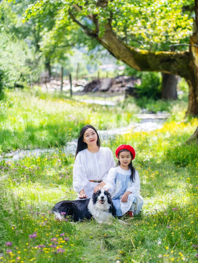 带娃和狗狗自驾川西，3天2晚美到不想回家