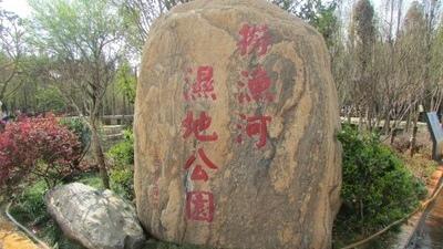 🔥昆明捞鱼河爆火！百万郁金香开成海，春节来这就对了捞鱼河湿地公园新春刷