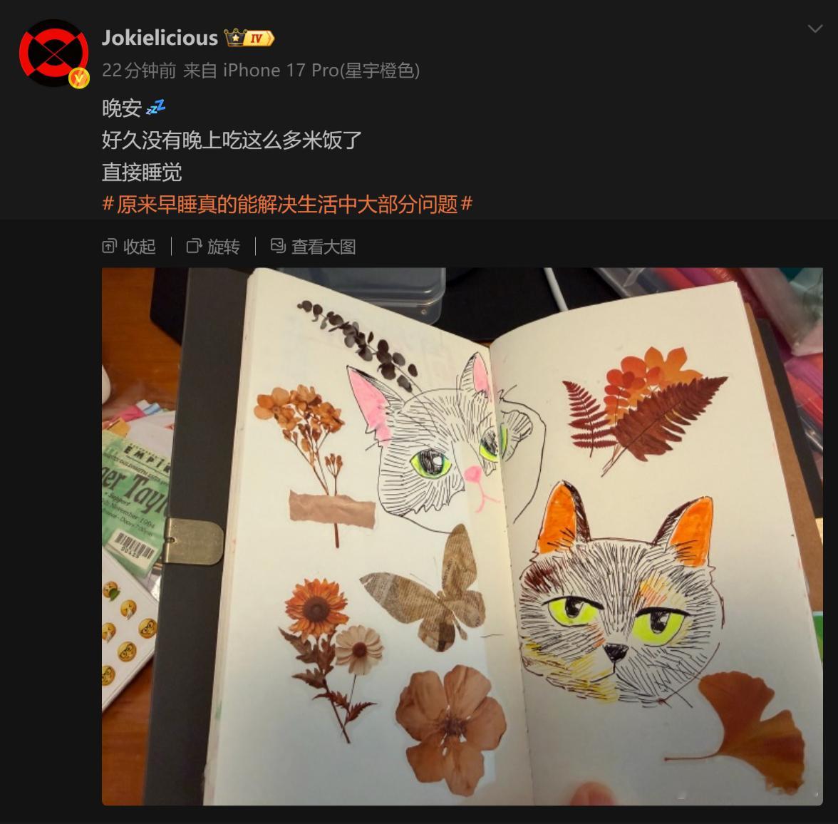 🔻不可能。​​​