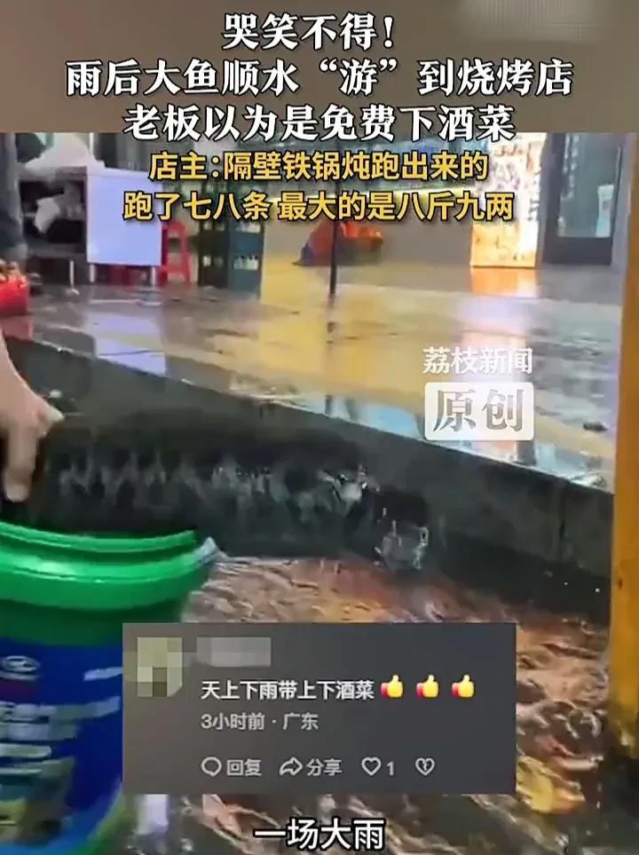笑不活了！6月15日，辽宁本溪一场大雨过后，一家烧烤店门口游来一群鱼，老板见状连