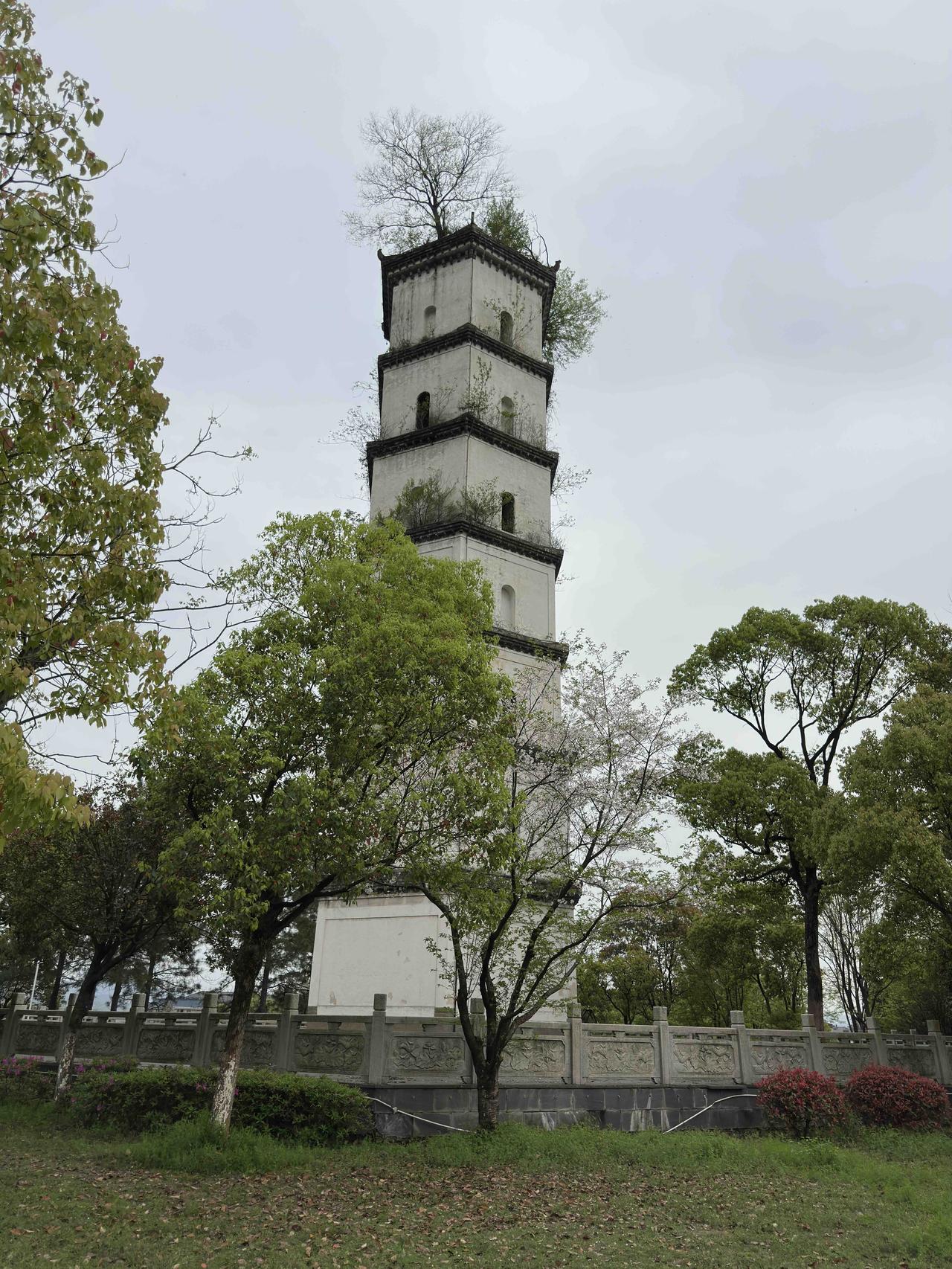 清明节到了，很多人都会去给去世的亲人扫墓，表达思念。有句话听起来有点扎心：与