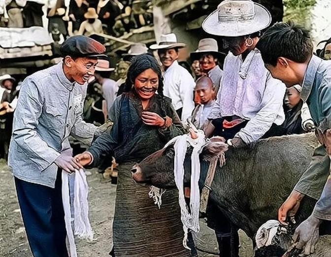 1959年，西藏堆龙德庆县南岗村，一位农奴姑娘分得了一头母牛和小牛崽，只见她衣衫