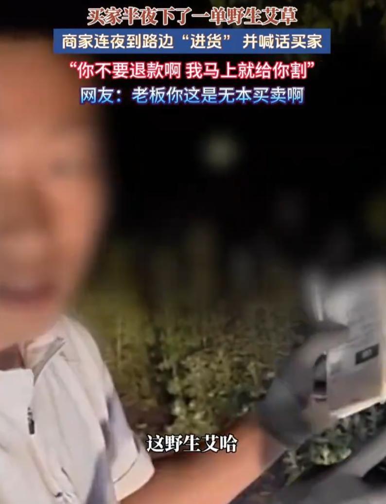 深夜，手机屏幕突然亮了。山东一位卖艾草的老板拿起来一看，是湖南那边有人刚下了单。